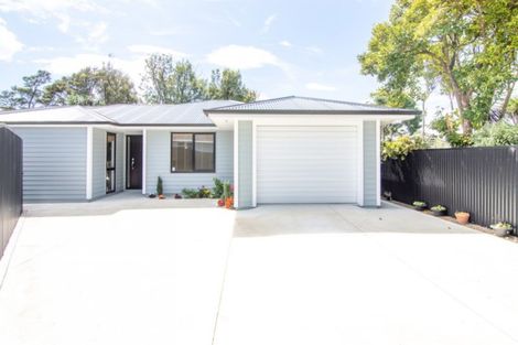 Photo of property in 22a Alfred Street, Roslyn, Palmerston North, 4414