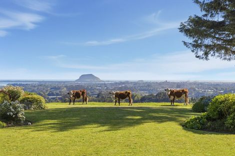 Photo of property in 179b Crawford Road, Minden, Tauranga, 3171