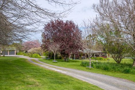 Photo of property in 620 Te Whiti Road, Te Whiti, Masterton, 5884