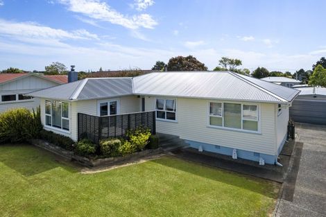 Photo of property in 19 Freyberg Street, Levin, 5510
