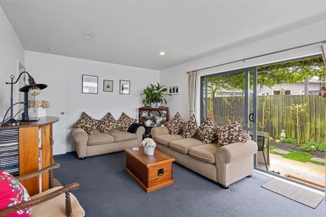 Photo of property in 51b Lagan Street, Belfast, Christchurch, 8051