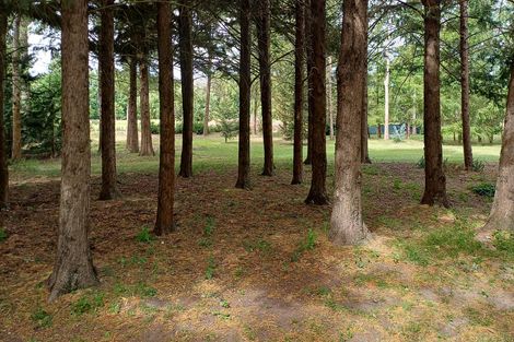 Photo of property in 12 Railway Street, Fairlie, 7925