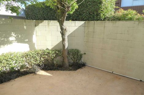 Photo of property in 12 Beveridge Street, Christchurch Central, Christchurch, 8013