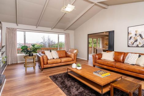 Photo of property in 45 Leven Street, Roslyn, Dunedin, 9010