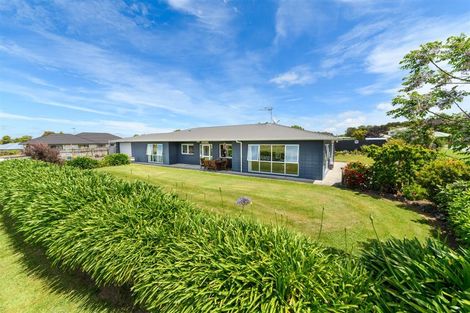 Photo of property in 17 Barnett Drive, Marton, 4710