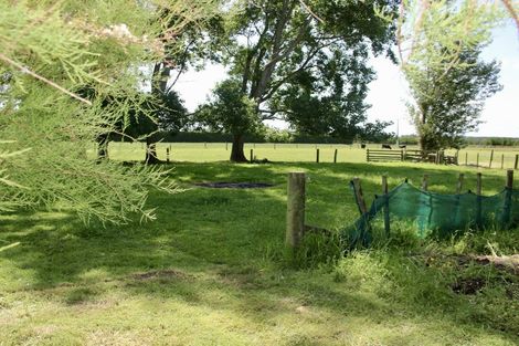 Photo of property in 152 Motuiti Road, Foxton, 4891