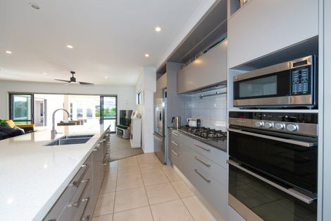 Photo of property in 228 Avondale Road, Greenmeadows, Napier, 4112