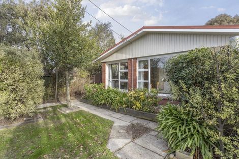 Photo of property in 25 Leeston And Lake Road, Leeston, 7632