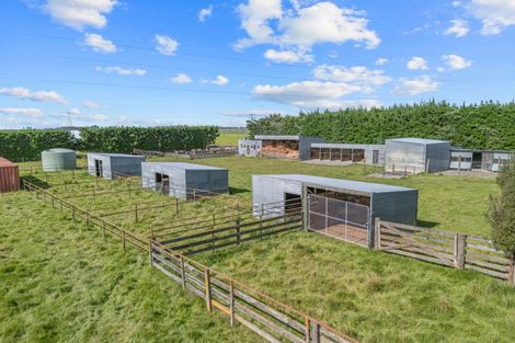 Photo of property in 146 Chatmos Road, Willowby, Ashburton, 7773