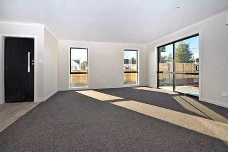 Photo of property in 52b Alfred Street, Fairfield, Hamilton, 3214