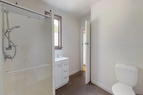 Photo of property in 46 Cambridge Street, Hampstead, Ashburton, 7700