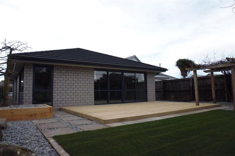 Photo of property in 11 Braddon Street, Addington, Christchurch, 8024