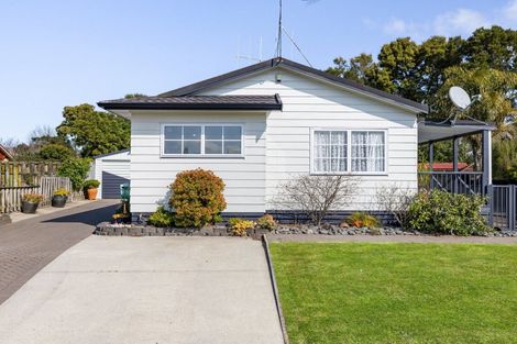 Photo of property in 46a Waterford Road, Fitzroy, Hamilton, 3206