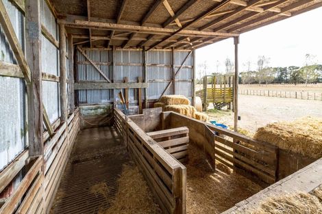 Photo of property in 85 Budd Road, Upper Plain, Masterton, 5888