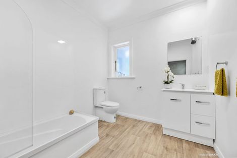Photo of property in 24a Waipapa Road, Hataitai, Wellington, 6021