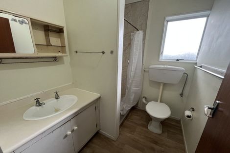 Photo of property in 146 Albert Street, Terrace End, Palmerston North, 4410