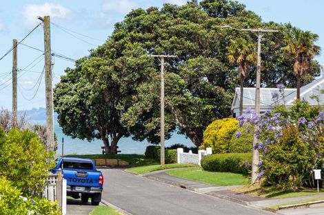 Photo of property in 113 Rennie Street, Thames, 3500