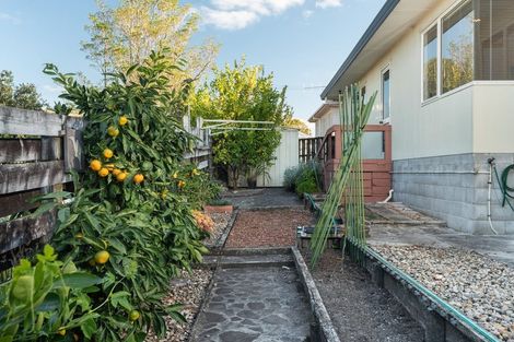 Photo of property in 3b Otawa Street, Te Puke, 3119