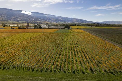 Photo of property in 1034 Luggate-cromwell Road, Mount Pisa, Cromwell, 9383