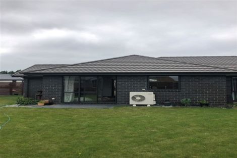 Photo of property in 20 Asheridge Place, Wigram, Christchurch, 8025