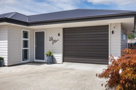 Photo of property in 15b Chamberlain Street, Feilding, 4702