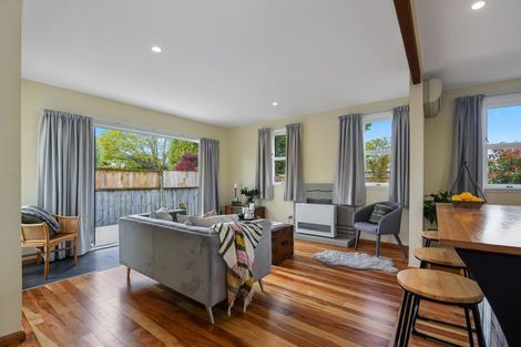 Photo of property in 243 Clarkin Road, Fairfield, Hamilton, 3214