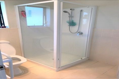 Photo of property in 104 Pitt Avenue, Clendon Park, Auckland, 2103