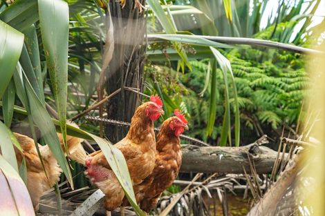 Photo of property in 59b Jack Boyd Drive, Mangawhai Heads, Kaiwaka, 0573