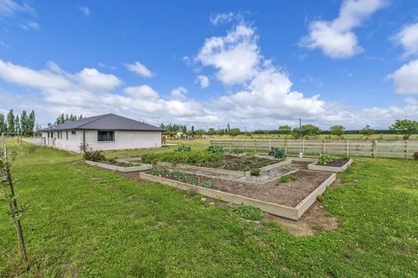 Photo of property in 536 Homebush Road, Kirwee, Christchurch, 7671