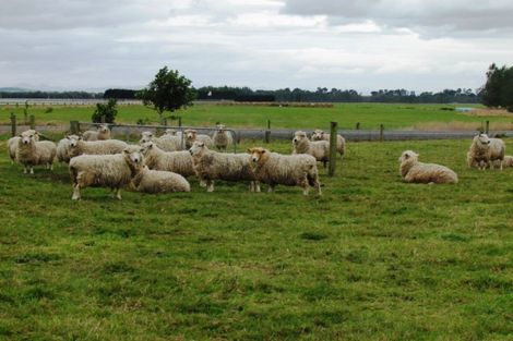 Photo of property in 9a Racecourse Road, Winton, 9782