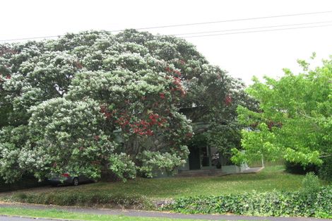 Photo of property in 20 Ngapuhi Road, Remuera, Auckland, 1050