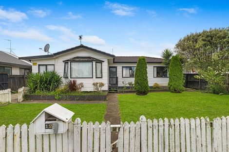 Photo of property in 127 Maplesden Drive, Clendon Park, Auckland, 2103