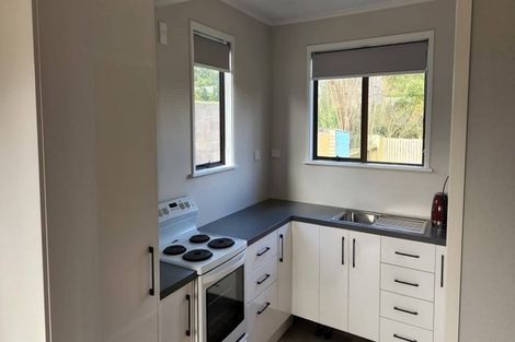 Photo of property in 88 Fairfield Road, Fairfield, Hamilton, 3214