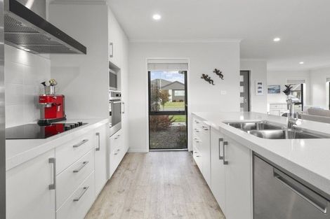 Photo of property in 3 Paiawa Way, Pyes Pa, Tauranga, 3110