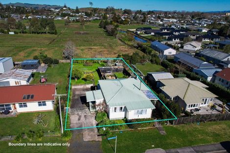 Photo of property in 9 Raroa Road, Paeroa, 3600