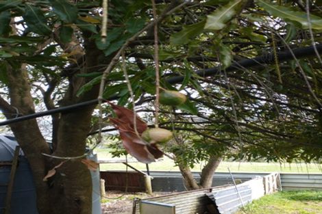 Photo of property in 109 Vinegar Hill Road, Kauri, Kamo, 0185