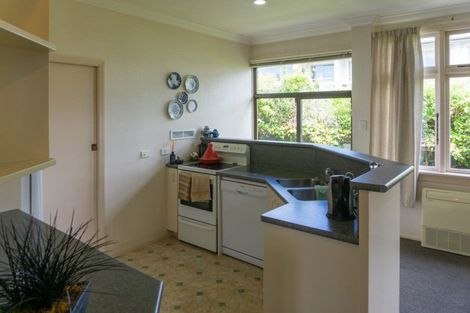 Photo of property in 21 Sheen Street, Roslyn, Dunedin, 9010