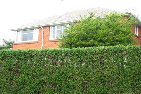 Photo of property in 25 Columba Avenue, Calton Hill, Dunedin, 9012