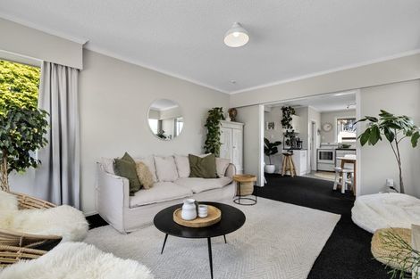 Photo of property in 14 Lodge Avenue, Mount Maunganui, 3116