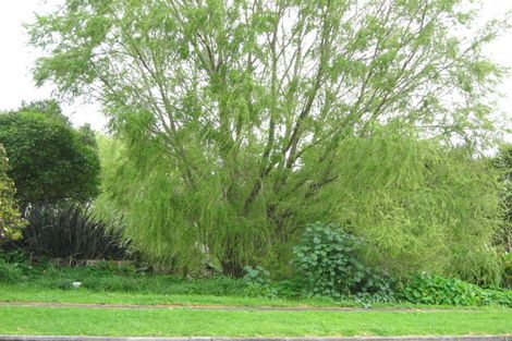 Photo of property in 125 Cracroft Street, Waitara, 4320