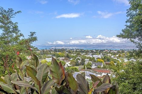 Photo of property in 30 Sievwright Lane, Whataupoko, Gisborne, 4010