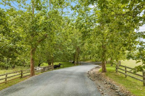 Photo of property in 31 Plane Tree Lane Lane, Ruatangata West, 0185