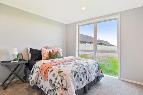 Photo of property in 22 Thorn Street, Levin, 5510