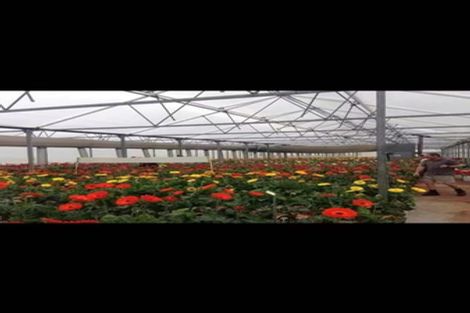 Photo of property in 26 Bristol Road, Whenuapai, Auckland, 0618