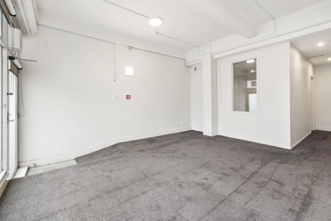 Photo of property in 195a Vivian Street, Te Aro, Wellington, 6011