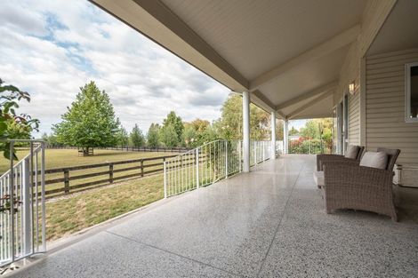 Photo of property in 81 Racecourse Road, Cambridge, 3493