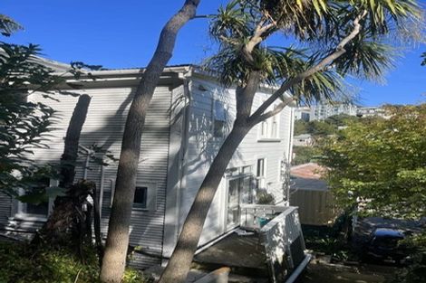 Photo of property in 74 Aro Street, Aro Valley, Wellington, 6021