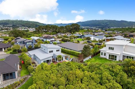 Photo of property in 51 Nelson Avenue, Aotea, Porirua, 5024