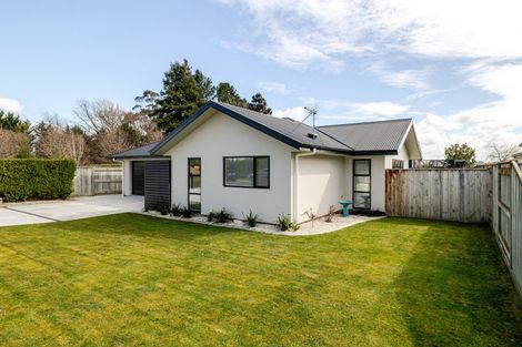Photo of property in 75 Pharazyn Street, Feilding, 4702