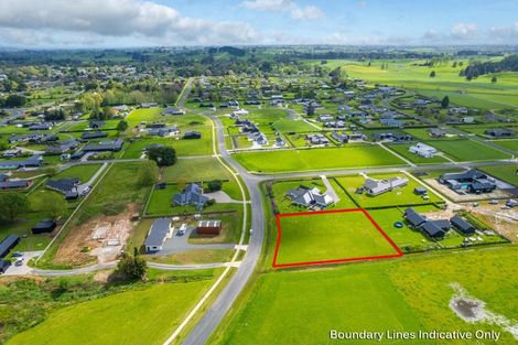 Photo of property in 895 Collinson Street, Pirongia, 3802